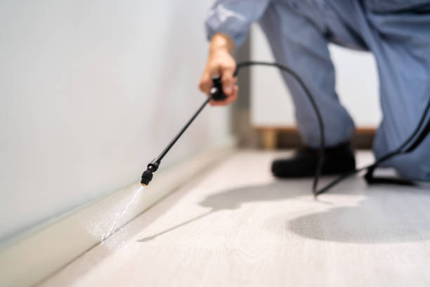 Licensed Termite Control service in Lincoln, CA - Show Me Pest Control